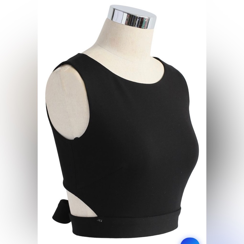 Chic Wish a Fan of the Bowknot Crop Top in Black - Picture 2 of 2